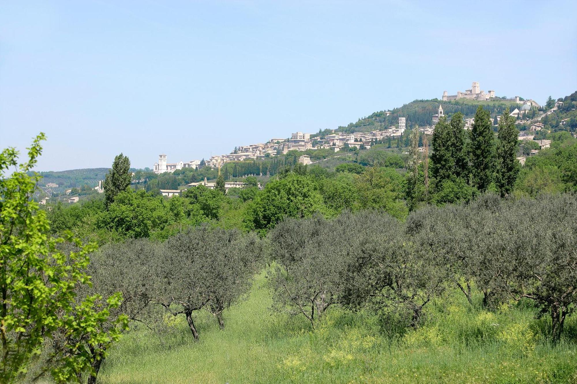 Country House Poggio Fiorito Assisi Exterior photo